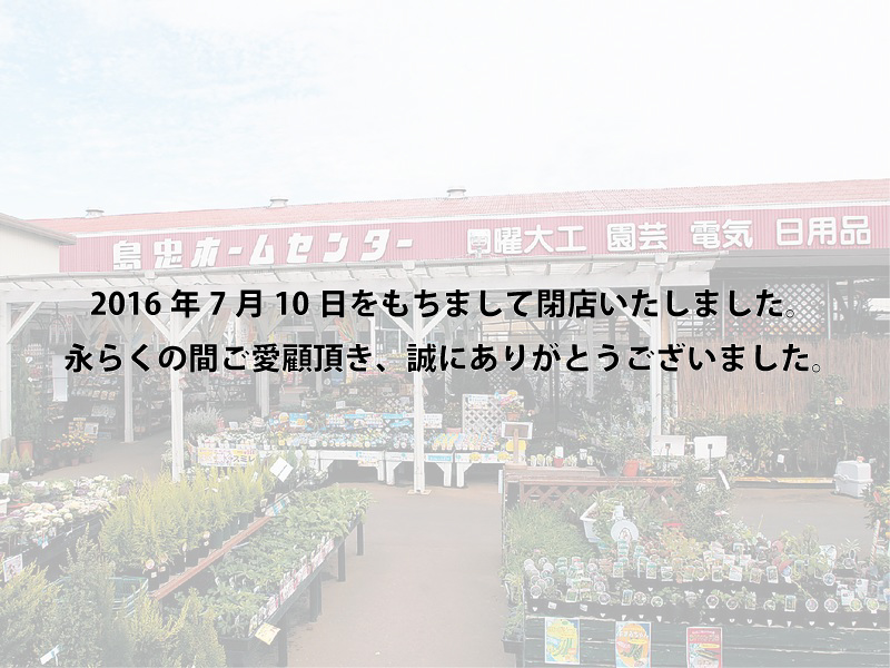 所沢店・島忠・ホームズ・ホームセンター・合鍵作る。コクヨ・オカムラ・ウチダ・ゴール・ロッカー・キャビネット・机・ディンプルキーをネット注文できる俺の合鍵。