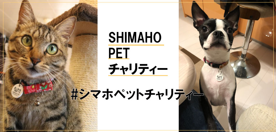 シマホの保護動物活動 Shimaho Pet チャリティー 家具 ホームセンターの島忠 Home S ホームズ シマホ