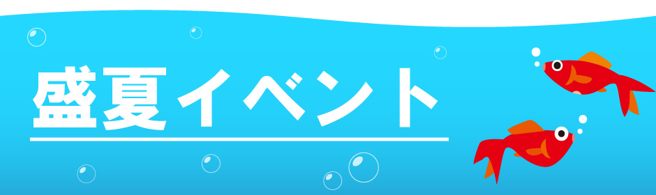盛夏イベント特集