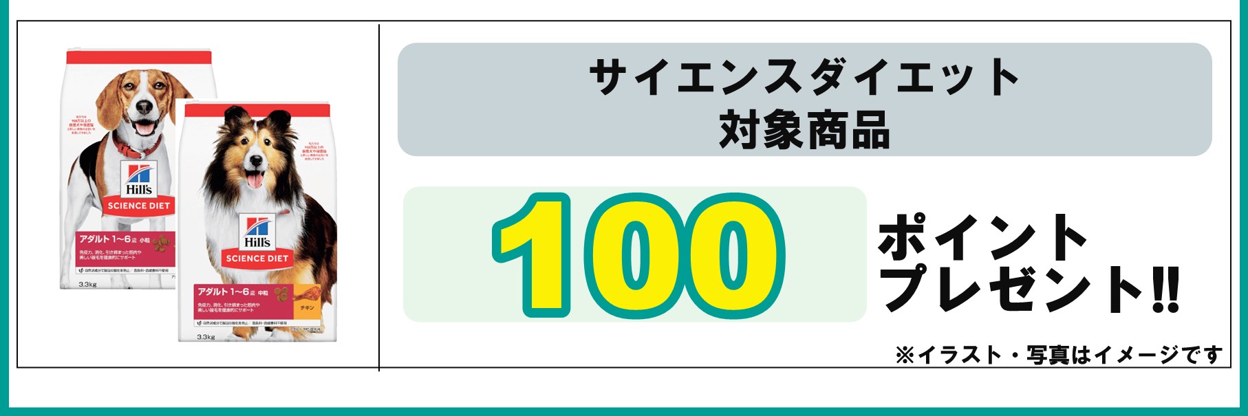 島忠・HOME'S のご案内 
