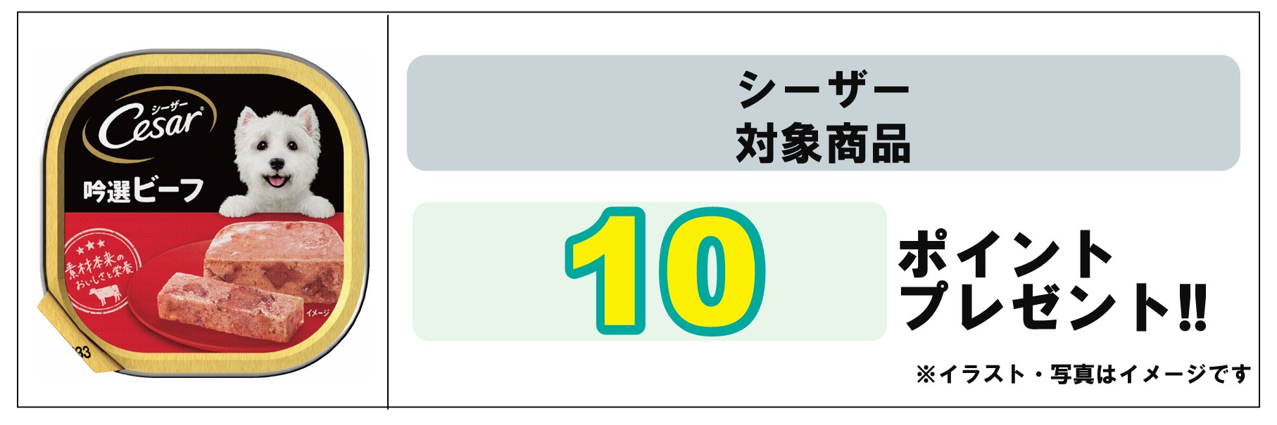 島忠・HOME'S のご案内 