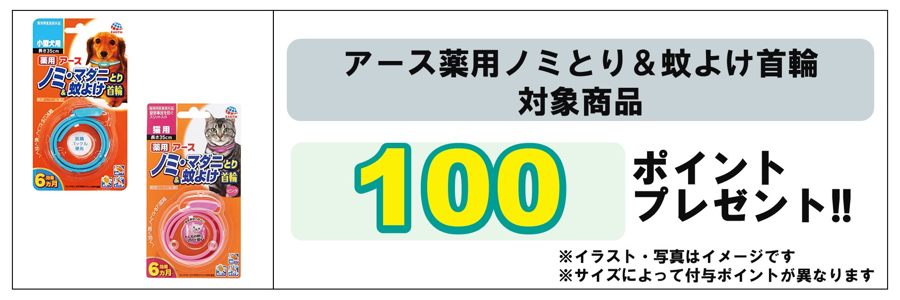 島忠・HOME'S のご案内 