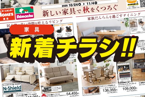 TOP_20251024fn