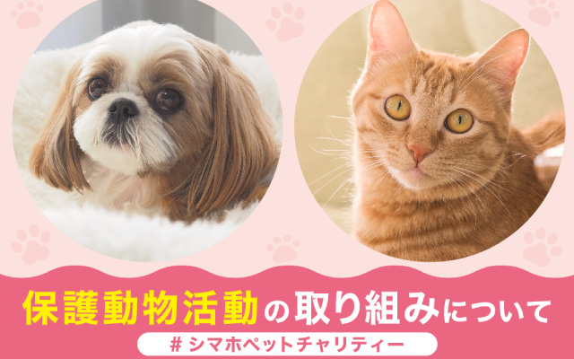 島忠保護動物活動