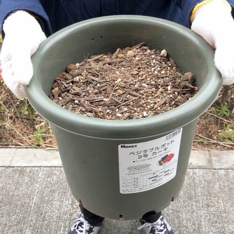 ホームズ北赤羽店|家具・ホームセンターの島忠・HOME'S(ホームズ) シマホ