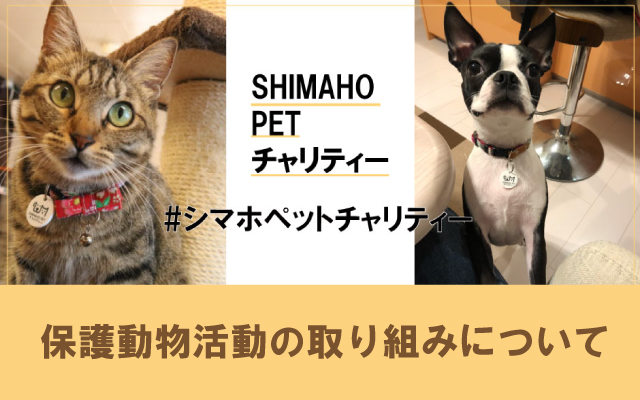 家具 ホームセンターの島忠 Home S ホームズ シマホ