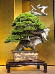 高通気ペットマット