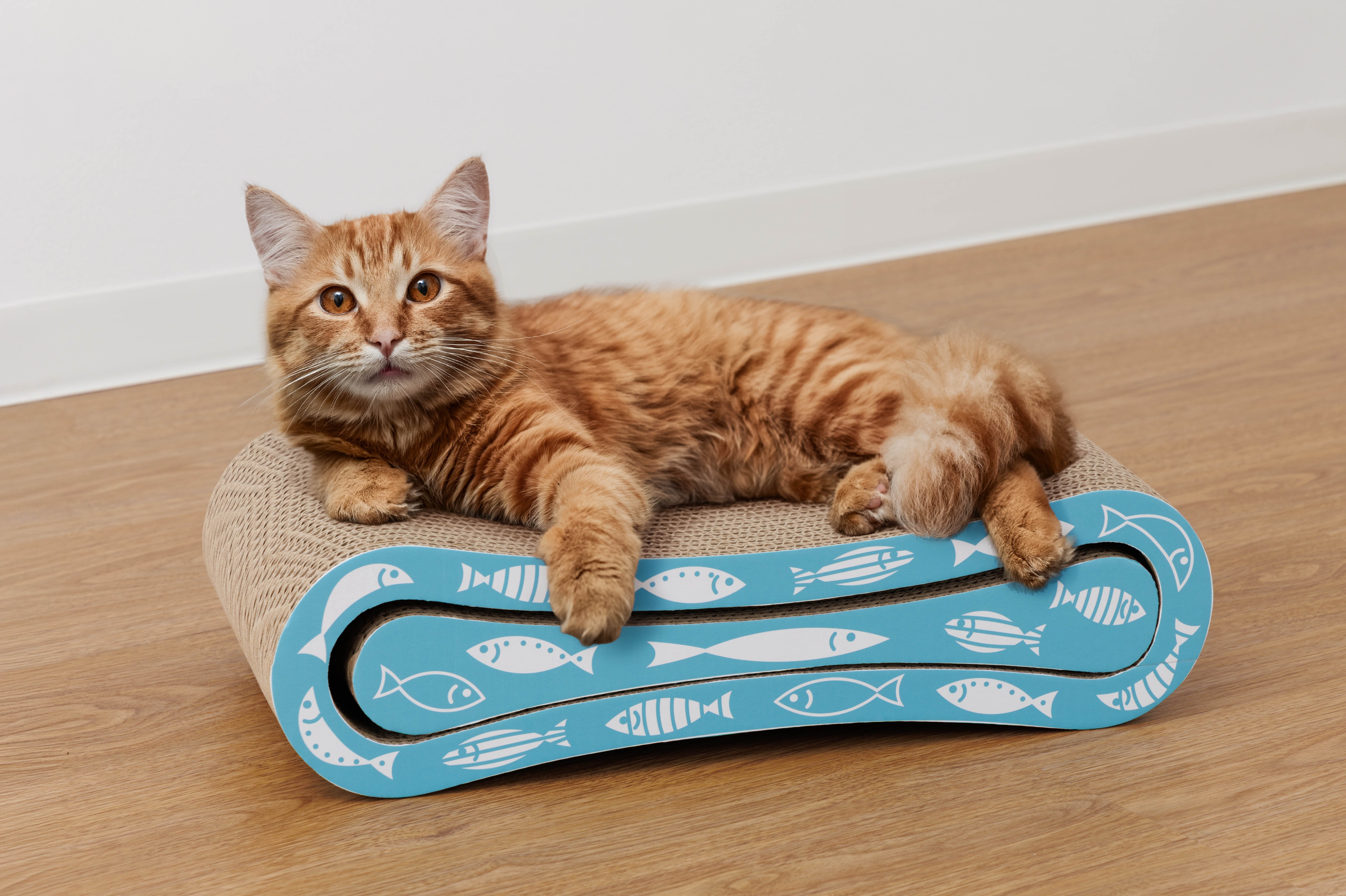 二段式 猫の爪とぎ ベッドタイプ