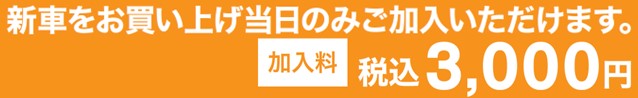 あんしんパック加入料
