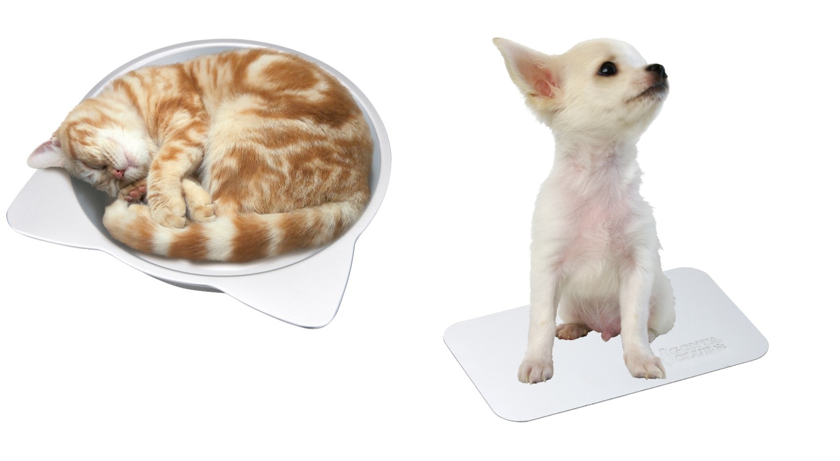 あつ い夏の対策はばっちり 愛するペットのためのひんやりグッズ 家具 ホームセンターの島忠 Home S ホームズ シマホ