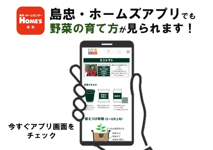 アプリ