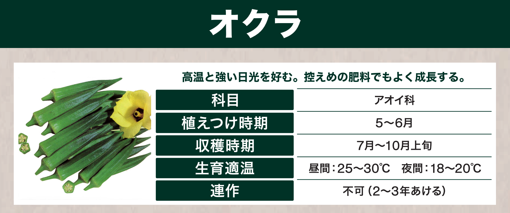 島忠で買えるオクラ