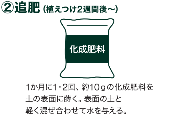 島忠で買えるオクラ
