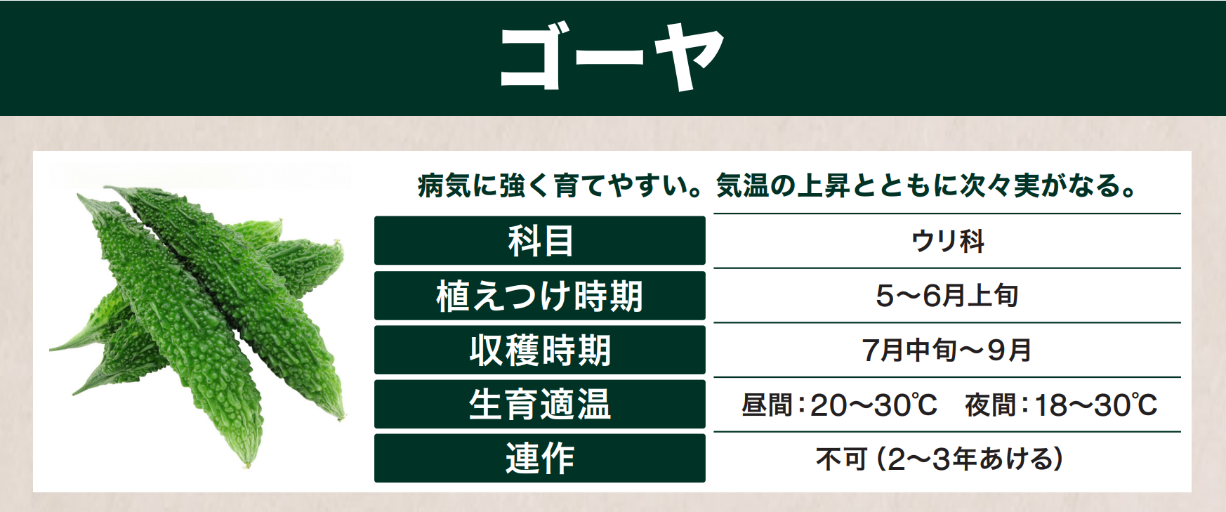 島忠で買えるゴーヤ
