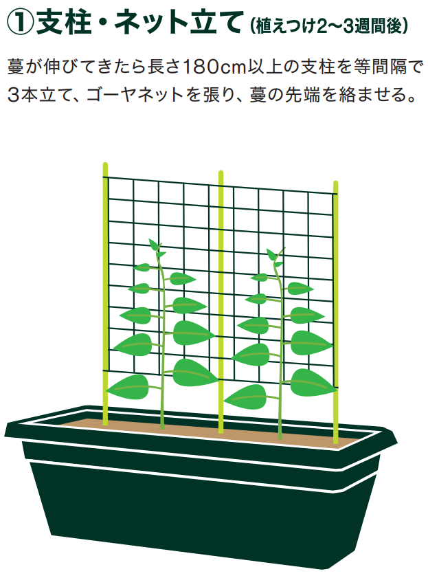 島忠で買えるゴーヤ
