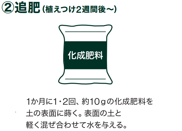 島忠で買えるゴーヤ