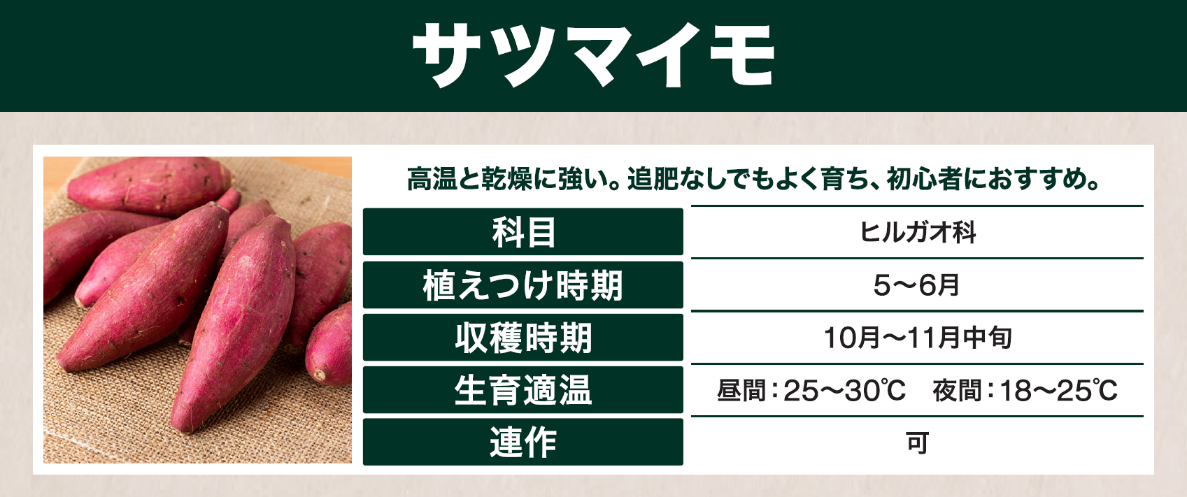 島忠で買えるサツマイモ