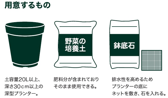 島忠で買えるズッキーニ