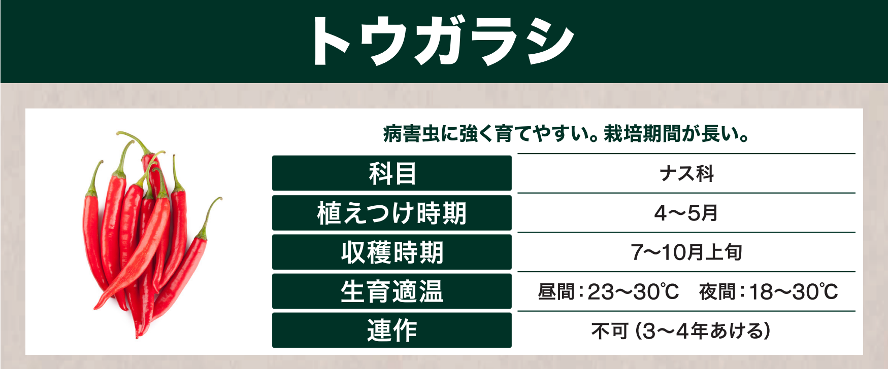 島忠で買えるトウガラシ