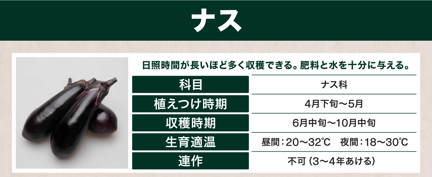 島忠で買えるナス