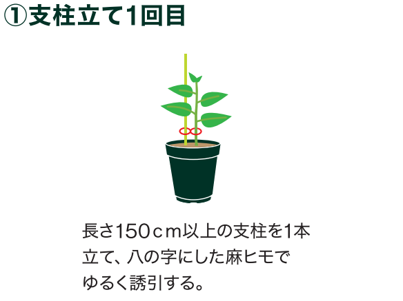 島忠で買えるナス
