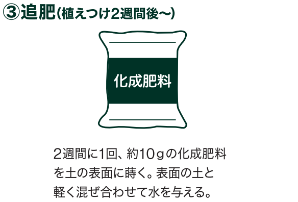 島忠で買えるナス
