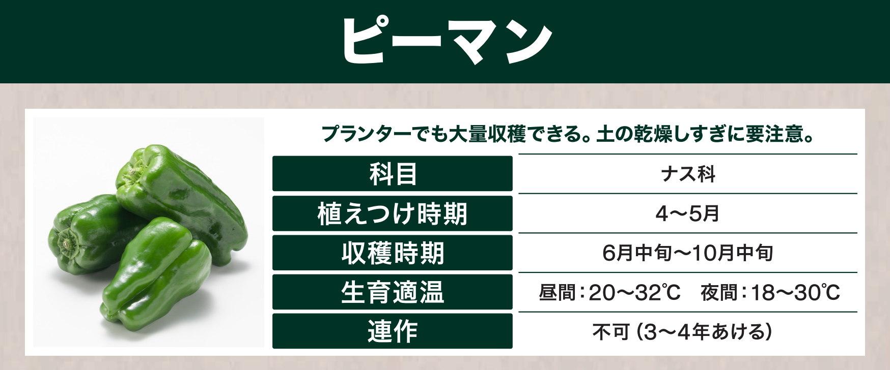 島忠で買えるピーマン