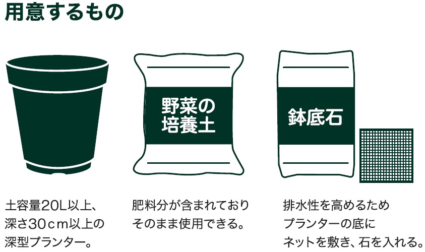 島忠で買えるミニカボチャ