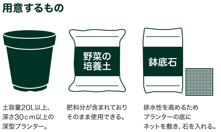 島忠で買えるミニトマト