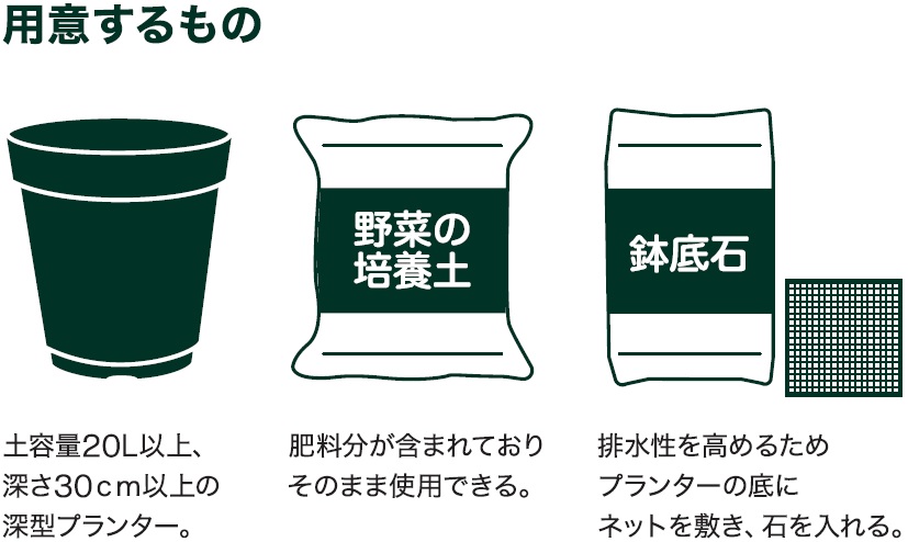 島忠で買える中玉トマト