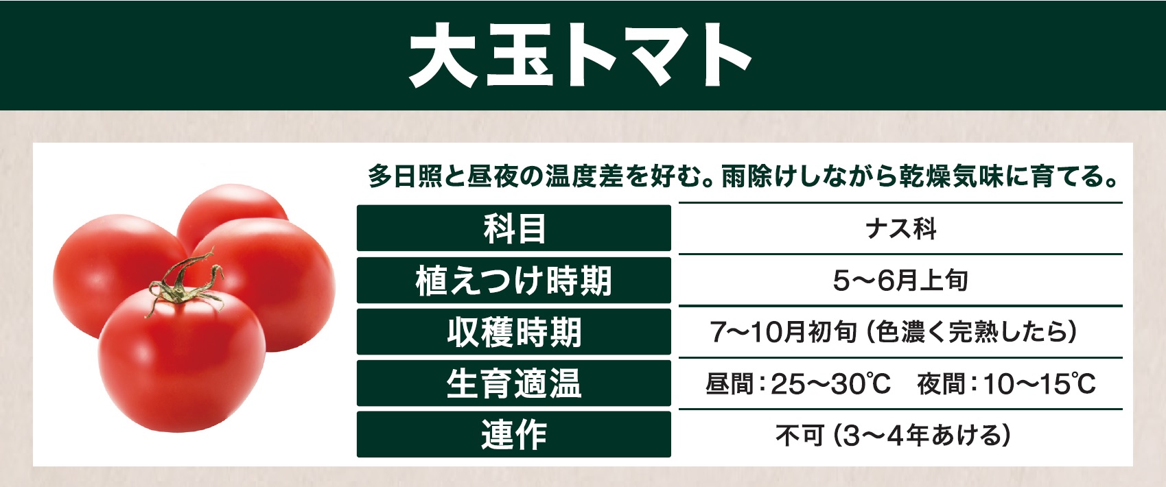 島忠で買える大玉トマト