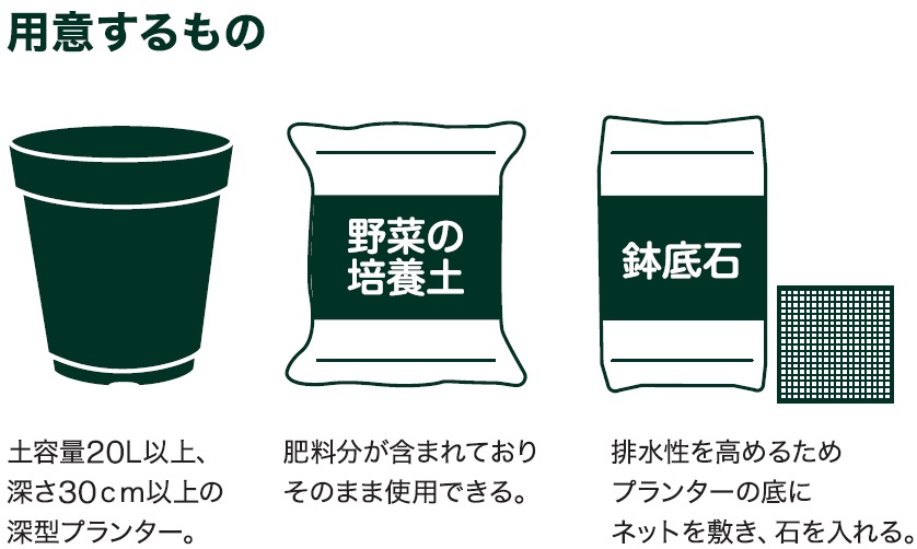 島忠で買える大玉トマト