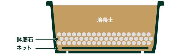 鉢底石