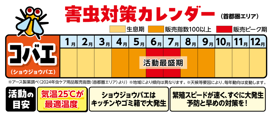 コバエの対策時期カレンダー