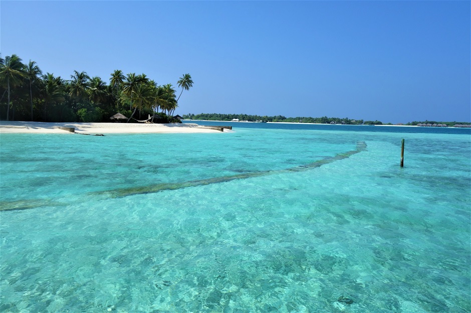 綺麗な海